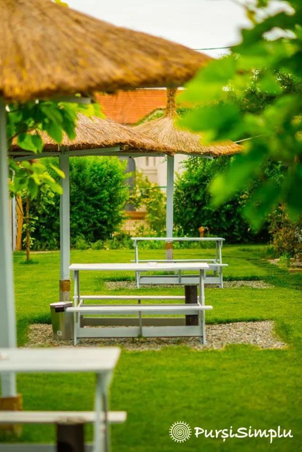 Pur Si Simplu Adults Only Hotell Vama Veche Exteriör bild